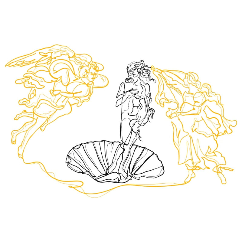 THE LINE OF VENUS | QUADRADO
