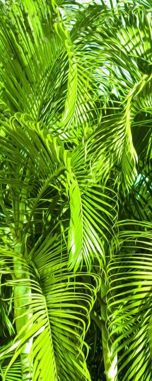 FOLHAS VERDES #2 DE LUCAS ALMA