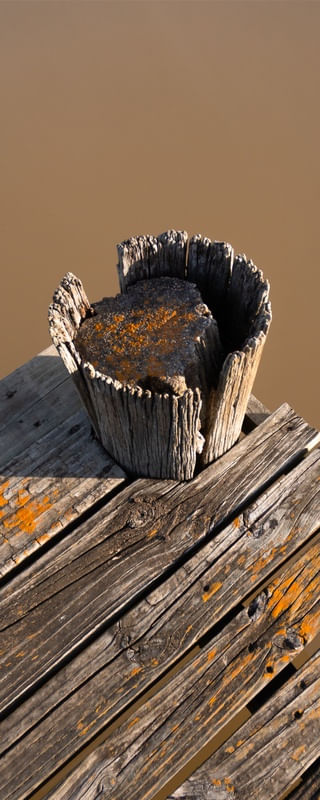 A CALM PLACE 3