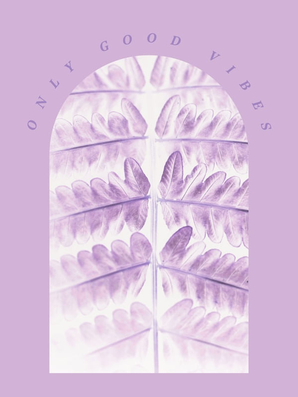 JANELA PARA A ALMA XXVIII