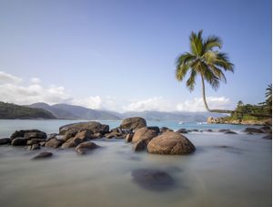 COQUEIRO TORTO NA PRAIA DO AVENTUREIRO, EM ILHA GRANDE, NO RIO DE JANEIRO, EM LONGA EXPOSIÇÃO