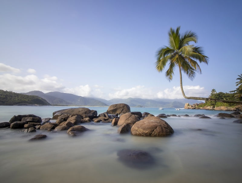 COQUEIRO TORTO NA PRAIA DO AVENTUREIRO, EM ILHA GRANDE, NO RIO DE JANEIRO, EM LONGA EXPOSIÇÃO