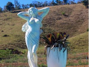 A MULHER BRANCA E O VASO DE PLANTAS