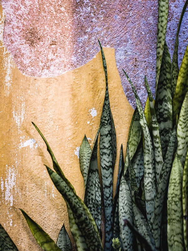 MARCAS NA PAREDE - TEXTURAS URBANAS
