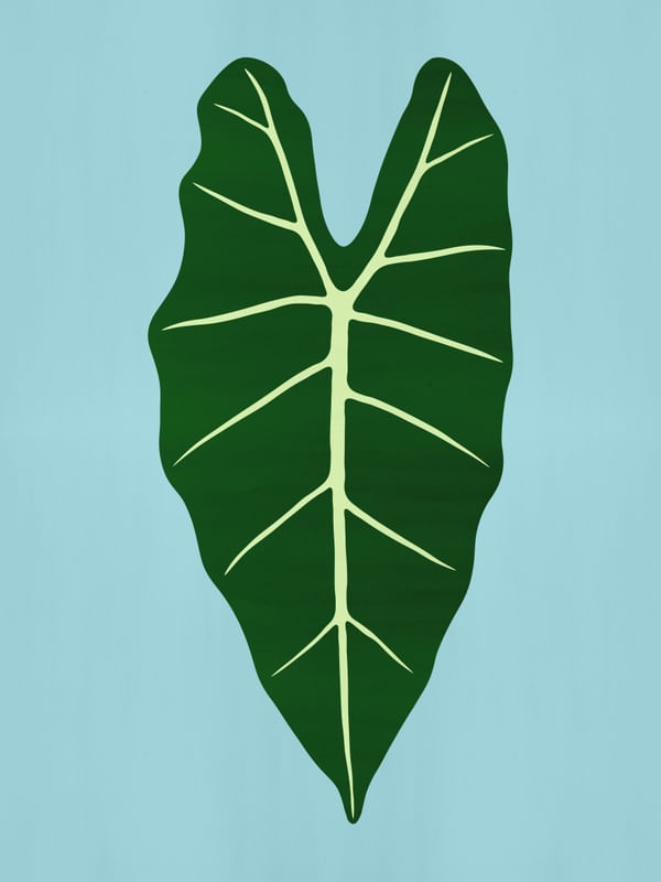 LEAF 04