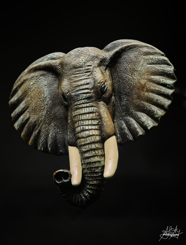 UM ELEFANTE AFRICANO