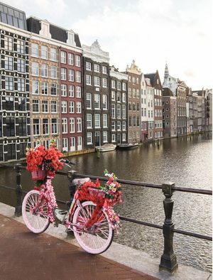PINK BIKE IN AMSTERDAM