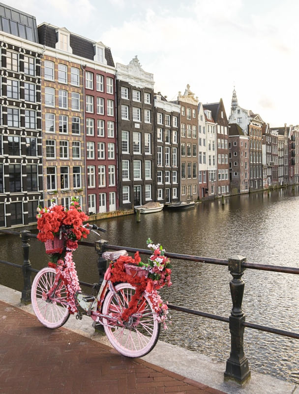 PINK BIKE IN AMSTERDAM
