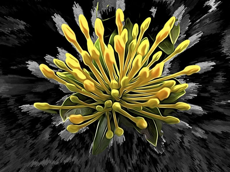 EXPLODE CORAÇÃO