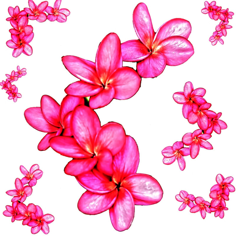 BORDADOS