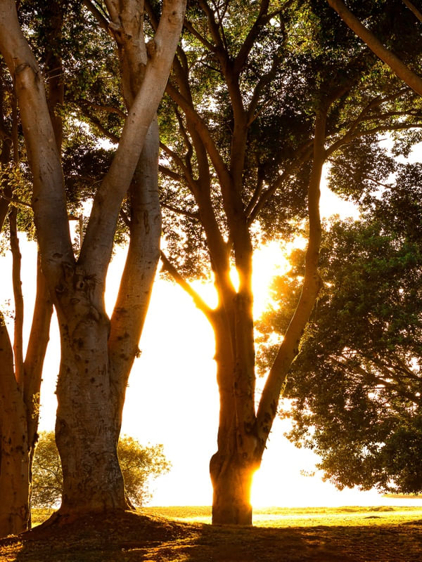 AMANHECER 03 UA