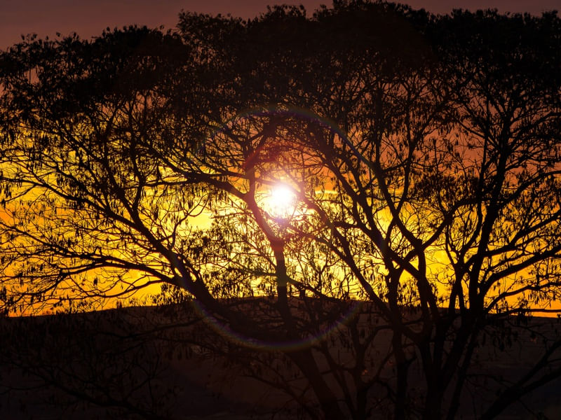 AMANHECER 35B UA
