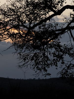 DÍPTICO TARDE POÉTICA_01
