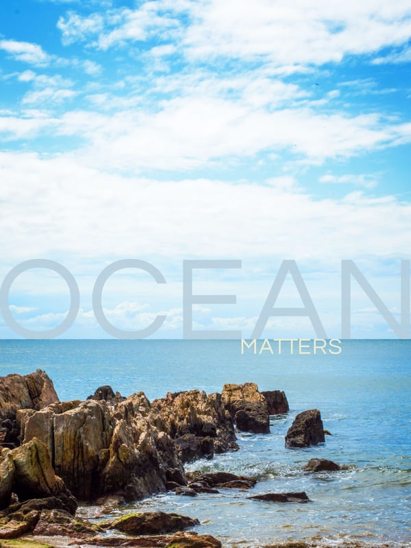 OCEAN MATTERS