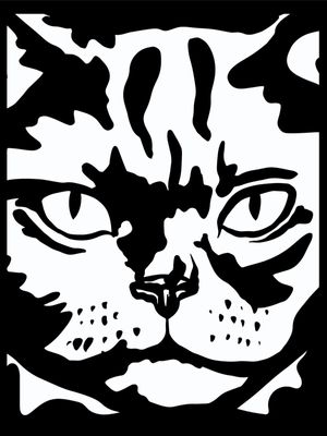 BLACK AND WHITE CAT