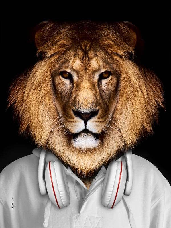 LION MAN SPORT