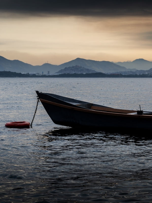 BOIA E BARCO