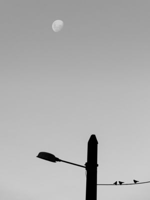 A LUA DOS POMBOS