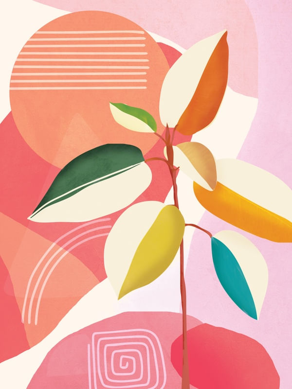 COLORFUL BRANCHING OUT 29