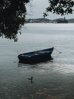 ONDE A VIDA NÃO MORREU