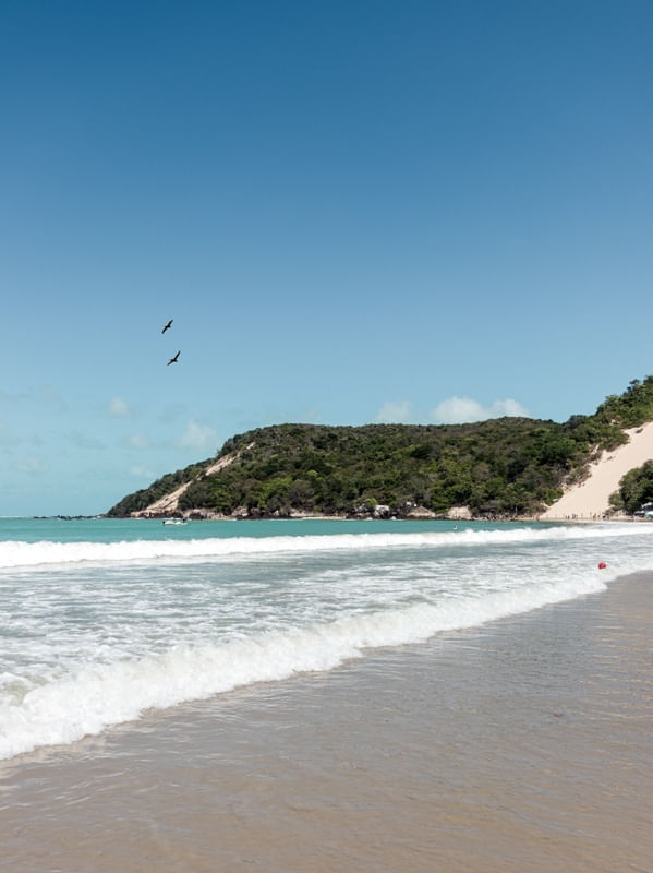 AZUL E VERDE PONTA NEGRA