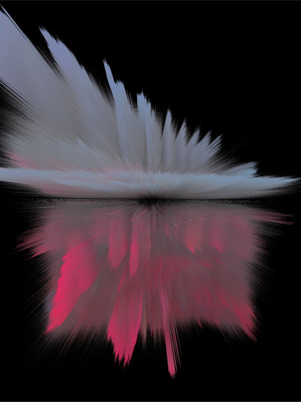 CÉU E FLORES