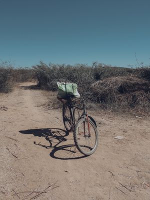 PASSEIO DE BICICLETA
