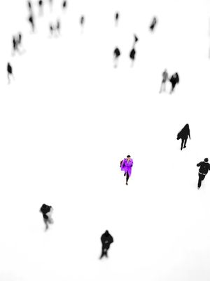 NY WOMAN - PURPLE
