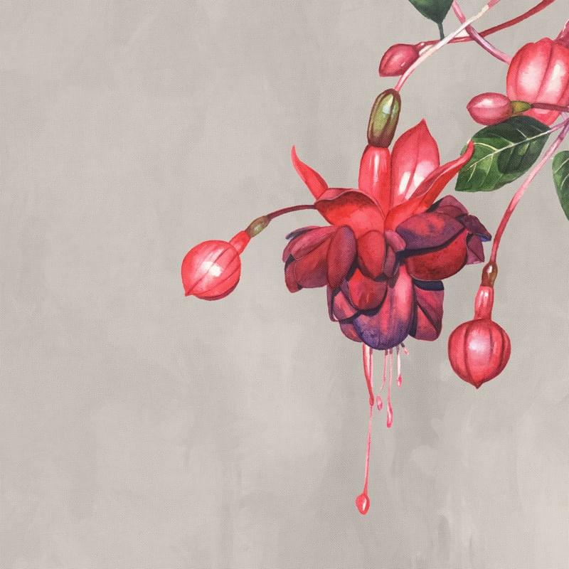 RARE FLOWERS 5