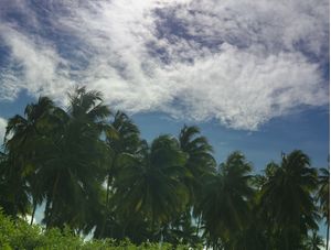 ILHA DE ITAMARACÁ 01