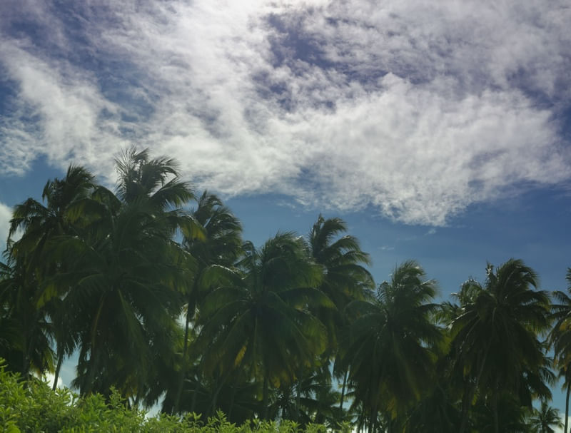ILHA DE ITAMARACÁ 01