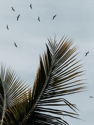 UM DIA DE TRISTEZA