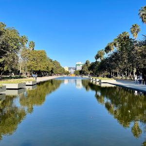 PARQUE FARROUPILHA - PORTO ALEGRE