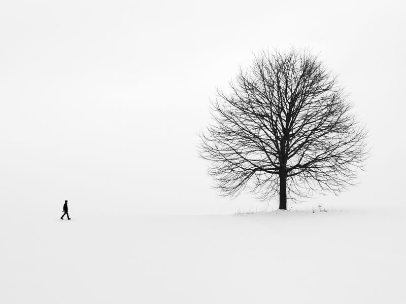 THE MAN AND THE TREE