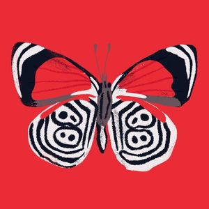 BORBOLETA 88 QFV