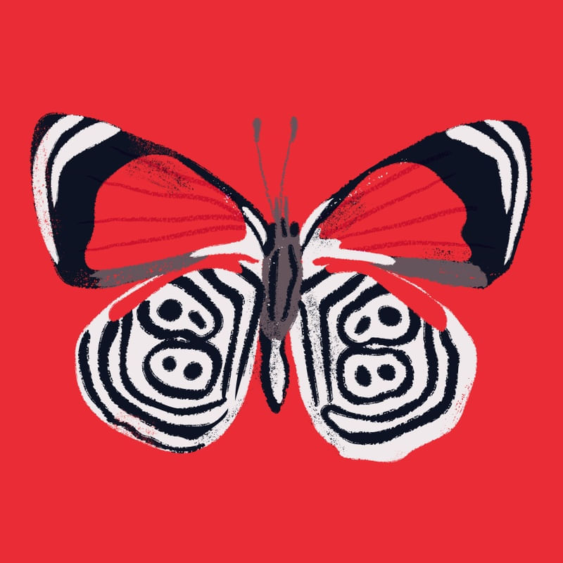 BORBOLETA 88 QFV