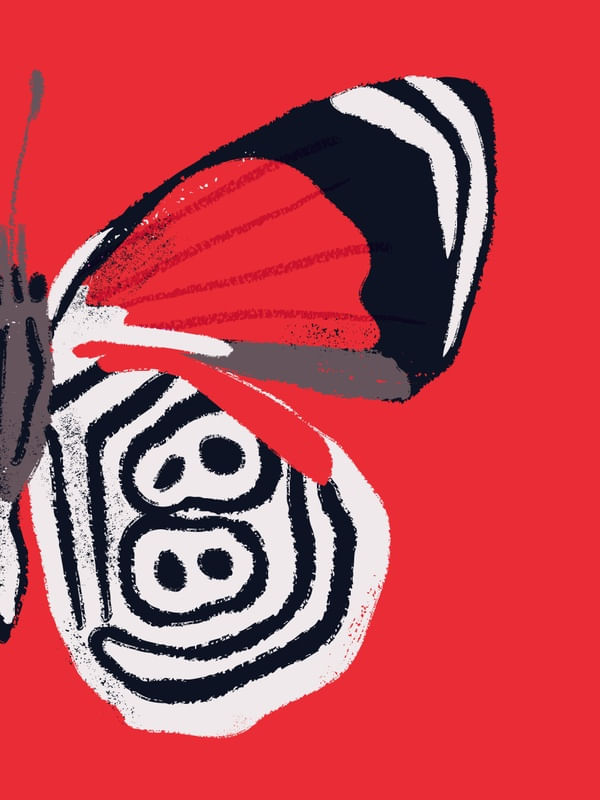 MEIA BORBOLETA 88 FV