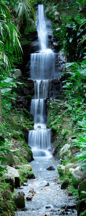 CACHOEIRA JARDIM BOTÂNICO