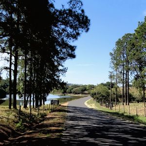 ESTRADA GRACIOSA DO LAGO