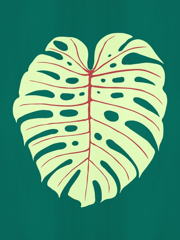 LEAF 09