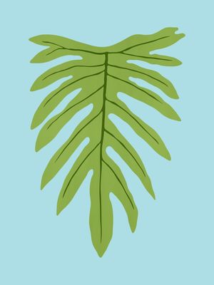 LEAF 10