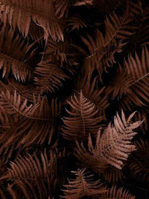 NEW FOLIAGE FALL II
