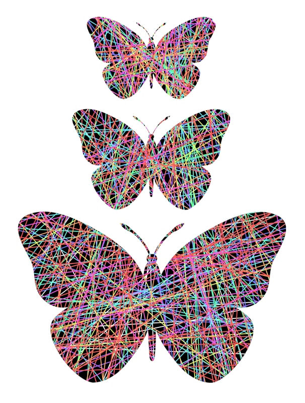 BUTTERFLY IN LINES W