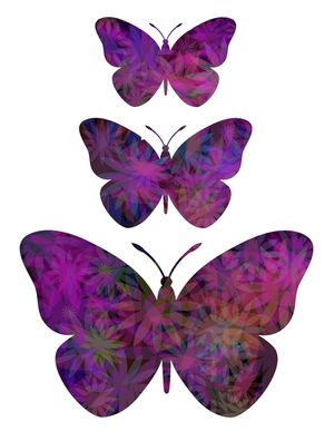 BUTTERFLY ON FLOWERS W