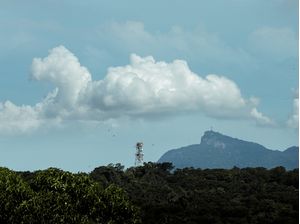 A ANTENA