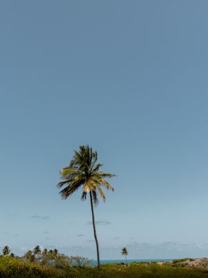 VENTOS DO LITORAL