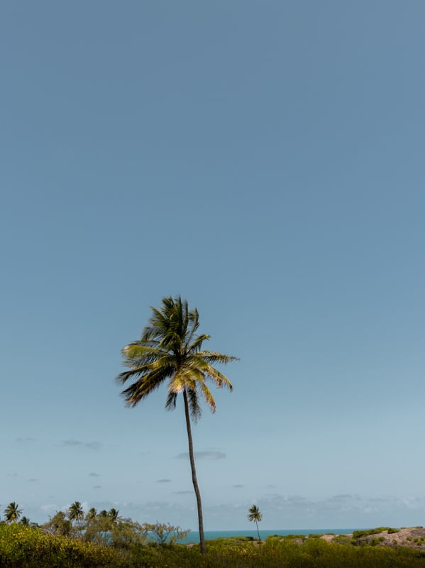 VENTOS DO LITORAL