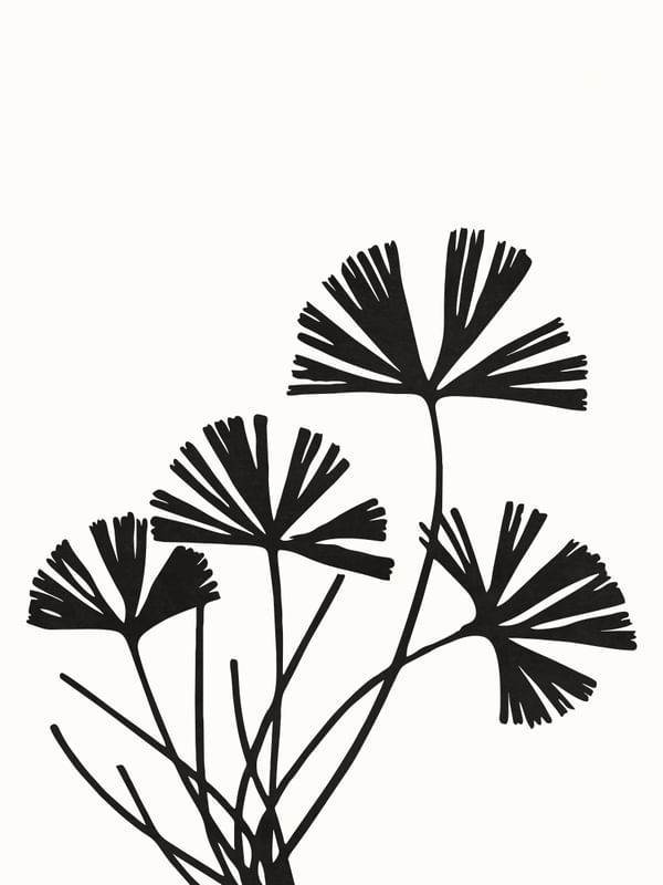 BOTANICAL ART - LEAVES 02