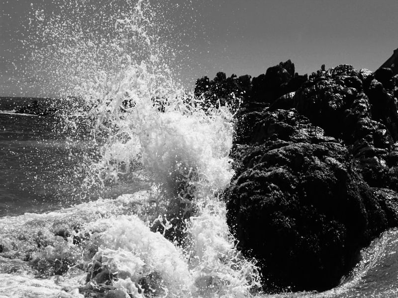 WAVE SPLASH