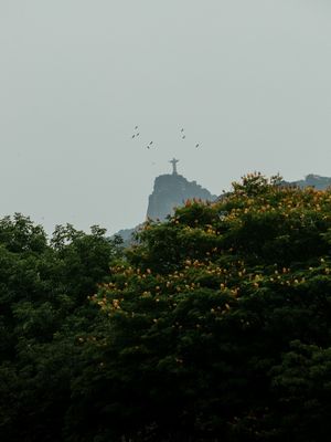 FLORES PARA O CRISTO